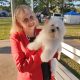Coton De Tulear – Caboolture