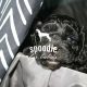 Spoodle – Yarraville