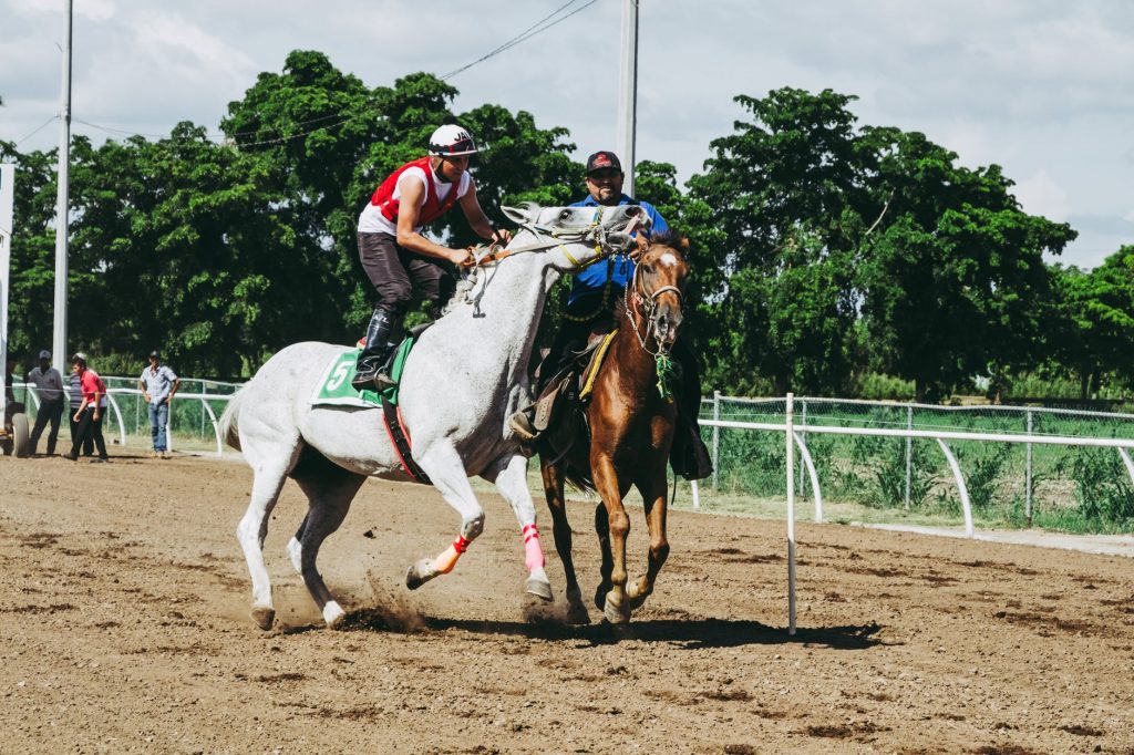 Top 20 Horse Trainers in Queensland
