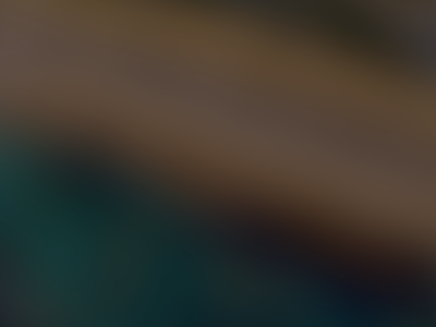 Blue American Staffy Pups