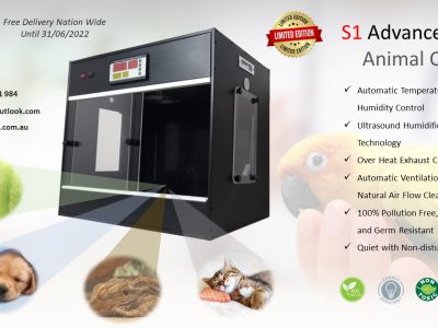 S1 ADVANCED ICU – Animal Care