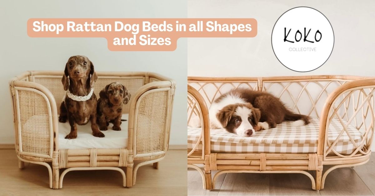 Koko Collective's Handcrafted Rattan Pet Beds