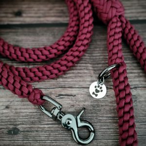 Best leads for active dogs are here