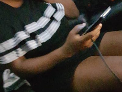 ****Top Quality frenchies Available ****