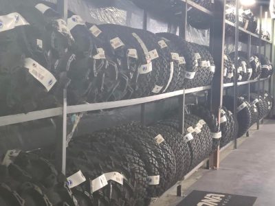 Umbrella cockatoo for sale