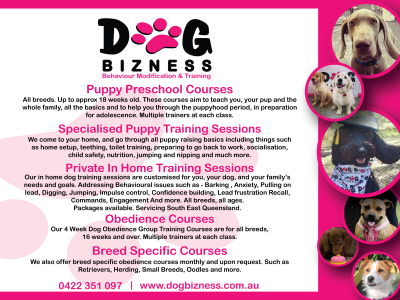 Dog Training Brisbane