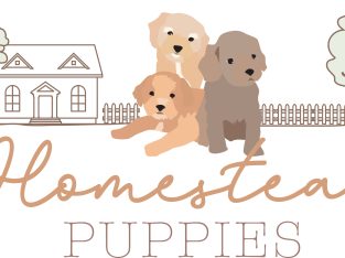 Homestead Puppies