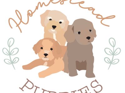 Homestead Puppies