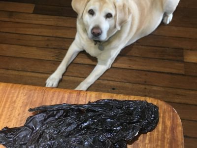 100% All Natural Dehydrated Pet Treats