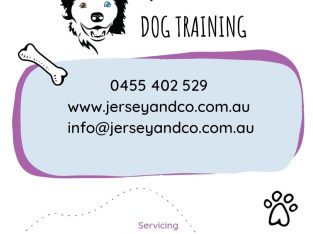 Dog Training