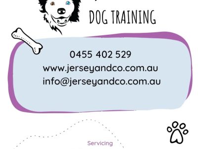 Dog Training