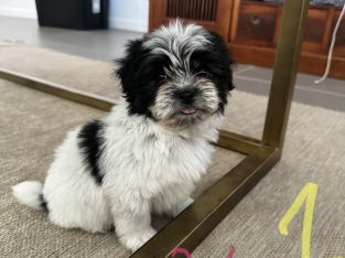 Ready for new home on 6th May