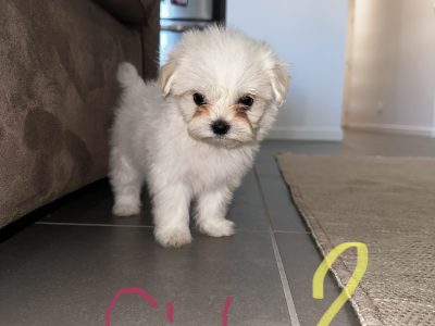 Ready for new home on 6th May