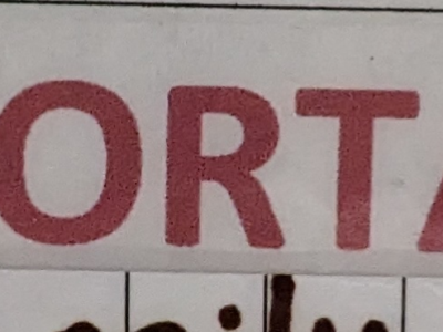 Dobermann Pinchers Puppies