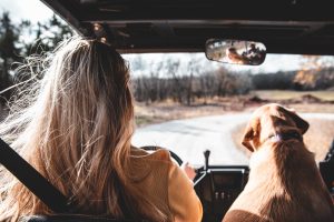 girl and dog in car