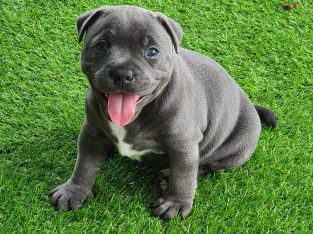 Expressions of Interest