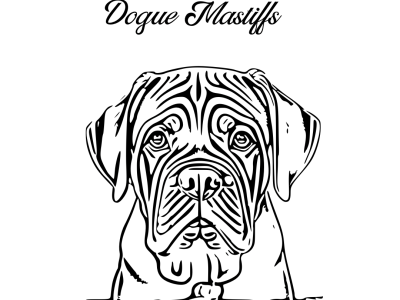 Dogue De Bordeaux aka French Mastiff Puppies