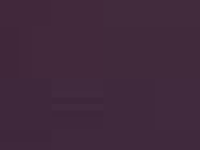 1 Purebred Mini Poodle male available!