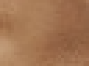 Cavoodles of Sydney!!! Ready to go