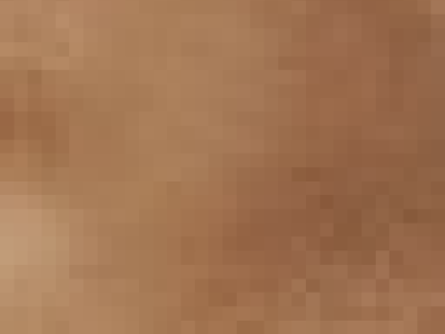 Cavoodles of Sydney!!! Ready to go