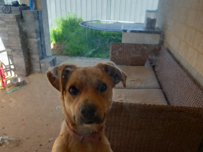 Bueatiful 11month old girl