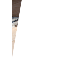 American Blue Staffy