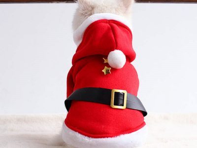 Santa Claus Costume – DoggyTopia