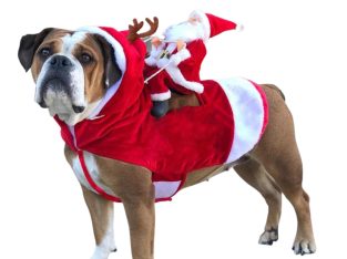 Christmas Costume – DoggyTopia