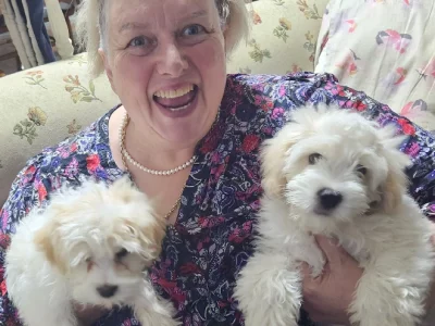 Moodle – Toowoomba City