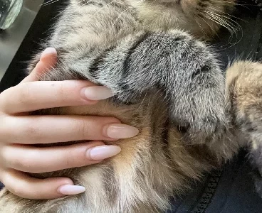 Other Cats – Castle Hill