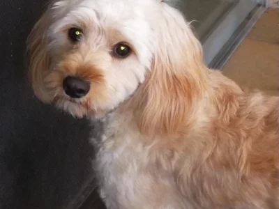 llllllllllllllllllllllllllllllllllllllllll