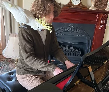 Cockatoo 2 year old male. Cage, toys, feeders included in price.