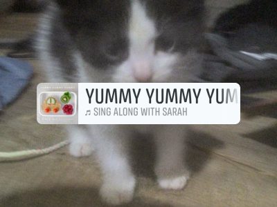 Ragdoll – Woodridge