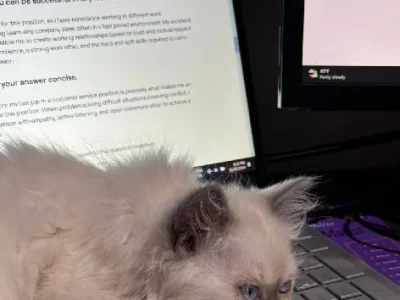 Ragdoll – Huntingdale