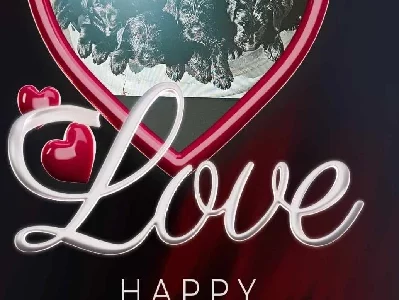 Labradoodle – Whyalla