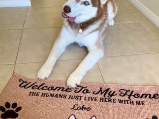 Husky – Spring Farm