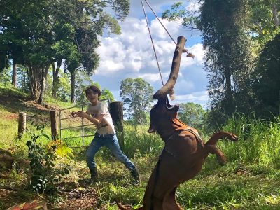 Rhodesian Ridgeback – Lethbridge