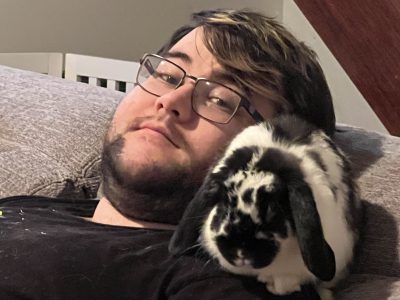 Rabbit – Kensington