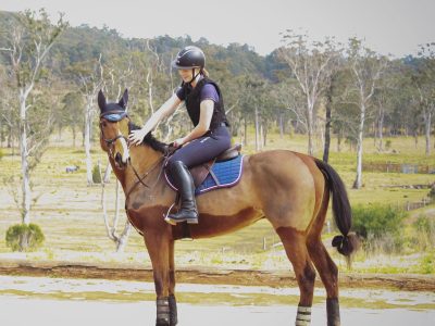 Thoroughbred – East Gosford