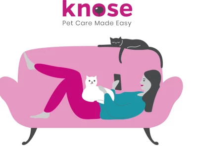 Pet Service – Knose pet Insurance