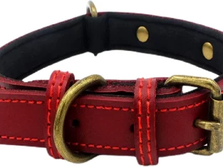 Leather Dog Collars Australia