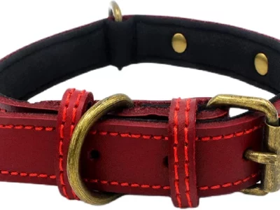 Leather Dog Collars Australia