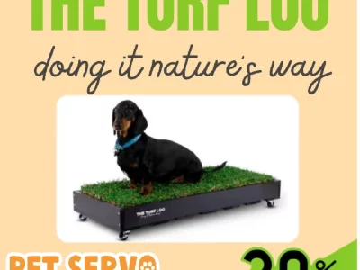 Pet Training – Blacktown