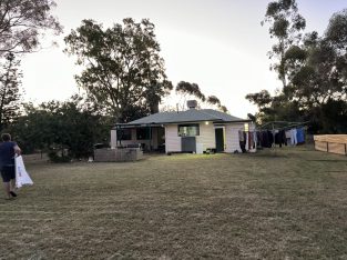 German Shepherd – Charleville