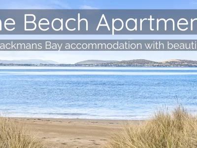 Pet Service – The Beach Appartments – Mirramar House
