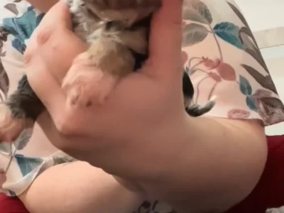 Cavoodle – Yankalilla