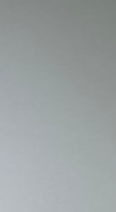 Jack Russell – Millmerran