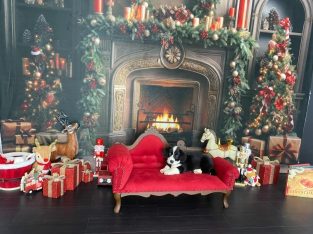 Cardigan Welsh Corgi – Leeton