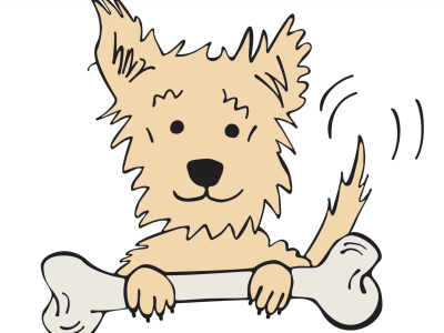 Pet Service – Wag & Bone Dog Grooming