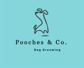 Pet Service – Pooches&Co